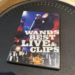 WANDS BEST LIVE & CLIPS 2枚組 DVD