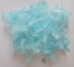 ライトブルー 羽根
