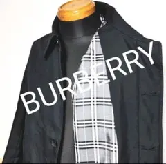 Item thumbnail for item f1368279-4733-479c-aebf-3fb24964a5d8