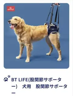 Item thumbnail for item e72151f5-8a88-4b68-ac0d-aca6590c9f80