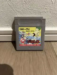 ゲームボーイソフト プロレス　ヒューマン