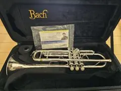 m91635015081_1.jpg?1742033133