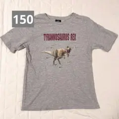 子ども服 GU Tシャツ ティラノサウルス グレー 男の子 150