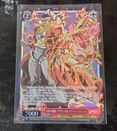 ジョジョの奇妙な冒険 ヴァイスシュバルツ アヴドゥル SP サイン