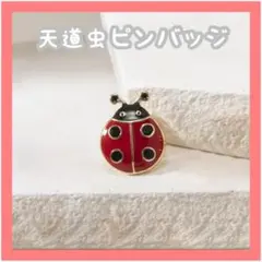 てんとう虫　天道虫　ピンバッジ　プレゼント　可愛い 装飾品