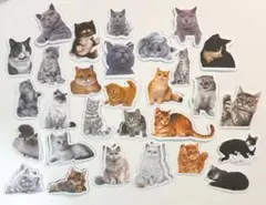 Item thumbnail for item 2d0c7951-1d49-4823-8fb4-e3d08934b236