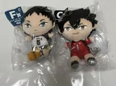 ハイキュー!! ぬいぐるみ2体セット ぬいもっち 黒尾鉄朗 赤葦京治
