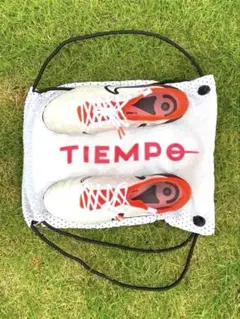 Item thumbnail for item c579712a-12fd-4442-90d8-226e65f4ac54