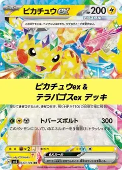 ポケモンカード 構築済み デッキ ピカチュウex&テラパゴスex N57