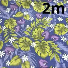 【特価】最終SALE★ラスト4枚★ポリシーチング★ハイビスカス★ブルー★