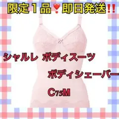 Item thumbnail for item 2aead065-a442-488f-80f7-cac26721c844