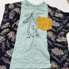 ブランシェス♡パームツリーTシャツ キッズ用