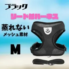 Item thumbnail for item 8d893d91-c528-4325-a013-331e71677d1f