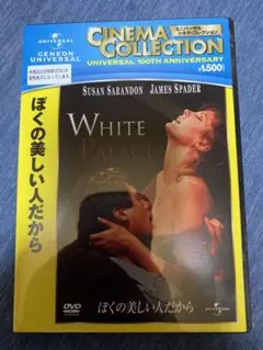 新品未開封 ぼくの美しい人だから('90米)