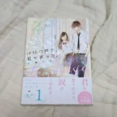 神様の隣で、君が笑った。