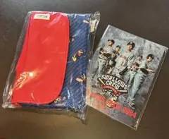 【新品未使用】Swallows Crew レジャーシート・ファンブック