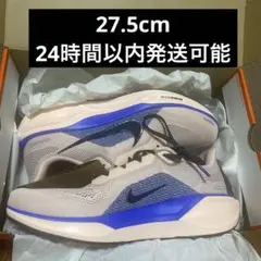 AIR ZOOM PEGASUS 41 エア ズーム ペガサス 41