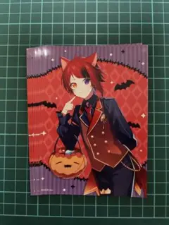 莉犬くん ブロマイド 10枚