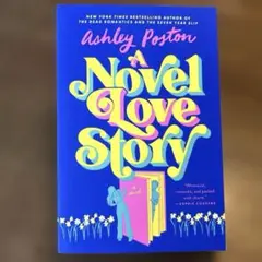 A Novel Love Story