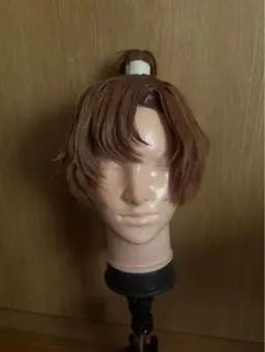 忍たま乱太郎 善法寺伊作ウィッグ