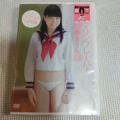 加藤まりん　マリンフレーバー　DVD 未開封品