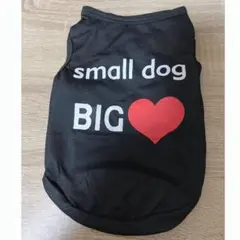 Item thumbnail for item 6bd56200-a515-46b8-8e1d-c3b3457214a6