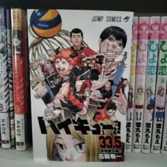 ハイキュー 33.5巻