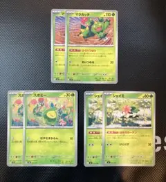 ポケモンカード マラカッチ スボミー シェイミ