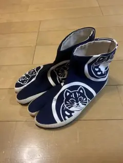 Item thumbnail for item 10e2bedd-1df3-4cd2-9a45-1bd20e378eee