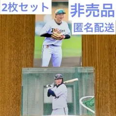 【完売商品】廣岡大志 オリジナル写真 2025年 オリックス・バファローズ 2種