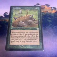 食物連鎖　mtg