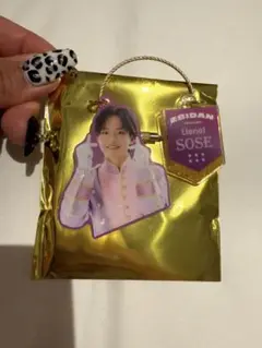 EBiDAN THE LIVE 2025 アクリルキーチャーム SOSE