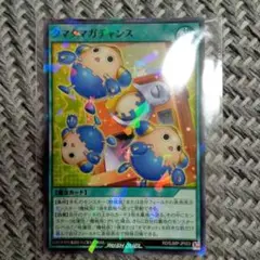 タマタマガチャンス