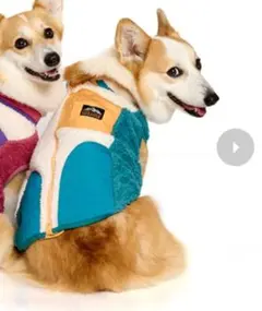 Item thumbnail for item 3fc3662d-f69a-426d-a58c-391ec711b71e