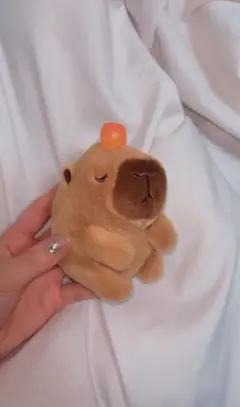 ぬいぐるみ　カピバラ