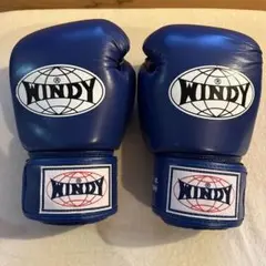 WINDY ボクシンググローブ 10 oz BGVH ブルー