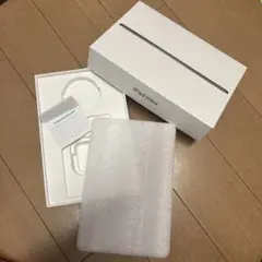 iPad mini