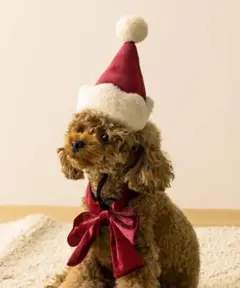 Item thumbnail for item 4da77629-29eb-46a1-a0ac-8aea37ef5456