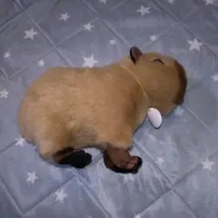 アドベンチャーワールド カピバラ ぬいぐるみ Mサイズ