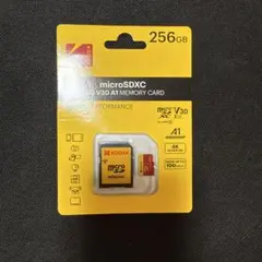 Kodak 256GB microSDXC V30 A1