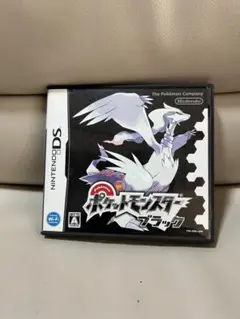 ポケットモンスター ブラック ニンテンドーDS