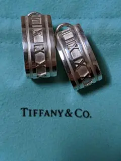 TIFFANYâ
ã¢ãã©ã¹ããŒããã¢ã¹ SV925