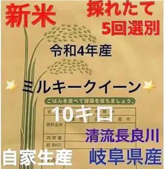 ✳️令和4年産✳️新米・採れたてミルキークイーン5回選別10キロ