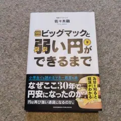 美品 ビッグマックと弱い円ができるまで 佐々木融
