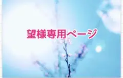 望様専用ページ