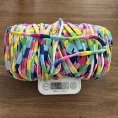 ズパゲッティ　408g