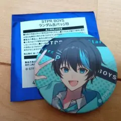 STPR BOYS　パルオ 缶バッジ