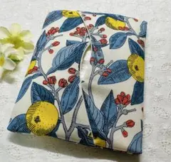 Item thumbnail for item c0901c4a-56df-433a-89f0-b71dd715b52d