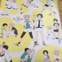 ぼく赤の恋 ボーイズラブ BL ハイキュー