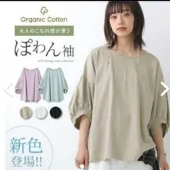 オシャレウォーカー n'Or オーガニックコットン ぽわん袖 Tシャツ ブラック